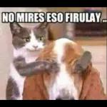 animales