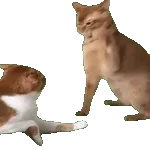 DI SINI HUJAN