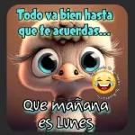 graciosos
