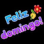 amor