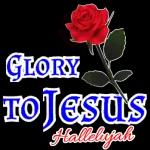 Flower is for you🌺