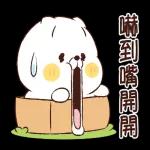 猫咪朋友笑一个
