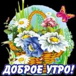 доброе утро 