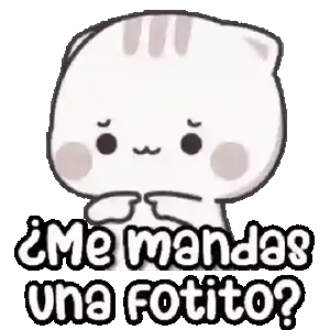 HO8Yin