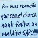 envidia de que ridicula? plata no tienes, bonita no eres, sana no eres y buena no estas.