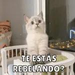 Encuerate