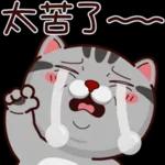 人生海海，愛與期待。