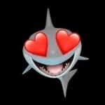 🦈❤️