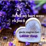 Lekker slaap