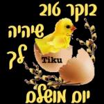 כל שבוע טוב
