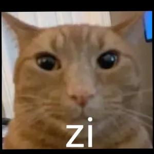 VnZX9o