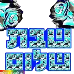 הכל הכל נפלא