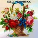 FELIZ DOMINGO