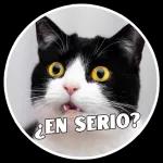 ¡QUÉ PROFUNDO! ¡QUÉ INSPIRADOR! ¡QUÉ LÍRICA! @SUPERLACRAA ¡QUÉ POÉTICO!