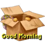 Have A GrEat WeEkEnD!!