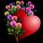 Thanks Jani I LOVE YOU