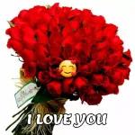 roses for you😘😘😘