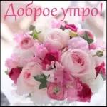 ватсап