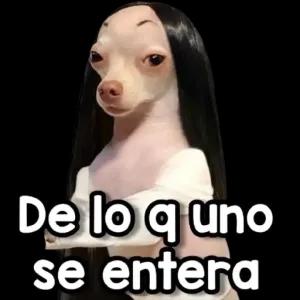 De lo q uno se entera - getsticker.com