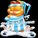 Gute Nacht.
schlaf schön
