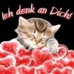 text sticker