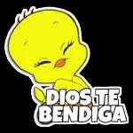 QUE ME QUISO DECIR?