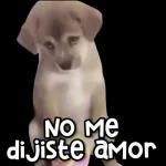 ¿Qué me ves, te gusto?