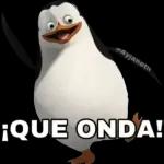 MI PAQUETE25