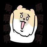 博美狗AB-不正经动起来