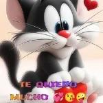 mis estiker