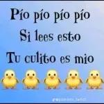 PARA LILITA