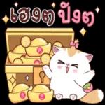 ok
โอเค
ค่า