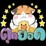ชบา ” ไม่เคย อิจฉา.. “กุหลาบ ”
