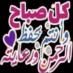قاعد مستنيك