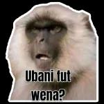 Ubanl fut wena?