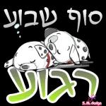 שישי שמח