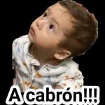 QUE PASO MI SHULA