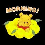 good morning👋