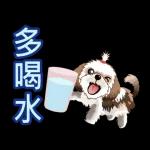 西施迪迪 (日常生活及問候篇)