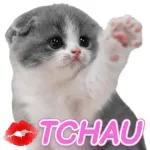 Que tengas una buena mañana.