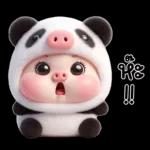 หมูแพนด้าน่ารักจังเลย