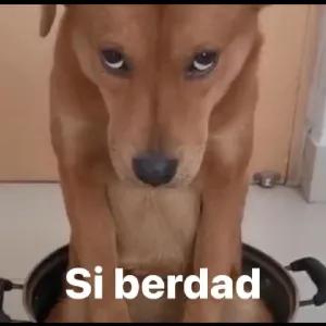 vJfMQd