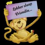 Lekker slaap