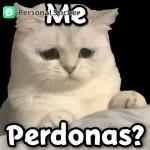 de todo