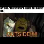 weird shrek memes
