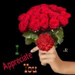 I Appreciate You