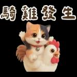 花貓超可愛諧音梗