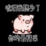 豬豬聯萌_你是豬嗎?只會吃
