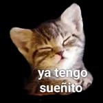 ya tengo sueño