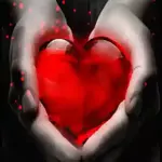 любовь 